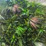 Artificial flower wall Image 2