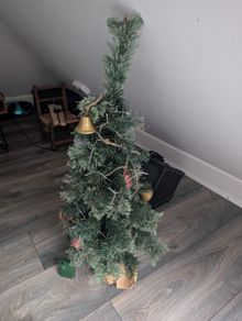 2 small Christmas trees