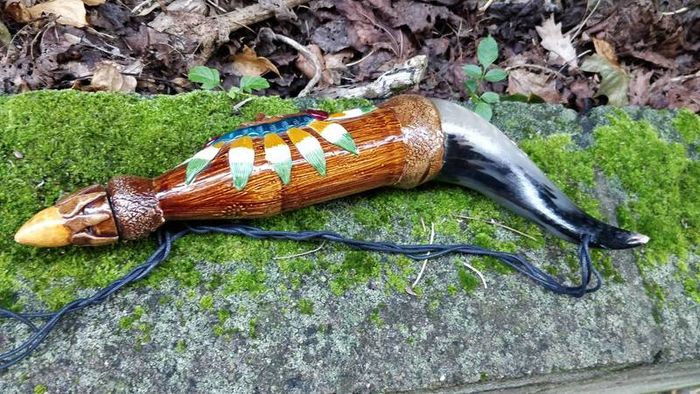 Cows  Bull's Horn