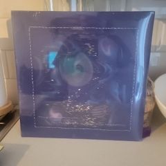 Dr@g Store Romeos the world within our bedrooms 2 vinyl