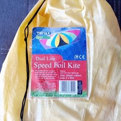 Large kite