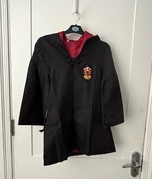 Halloween Costume