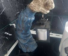 Zombie arm hallowen lantern Halloween Horror style