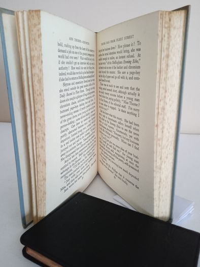 Ann Thorne Reporter by Rosamond Bertram. Illustrated by John Benison (RB297)
