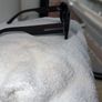 Porsche Design sunglasses Image 4