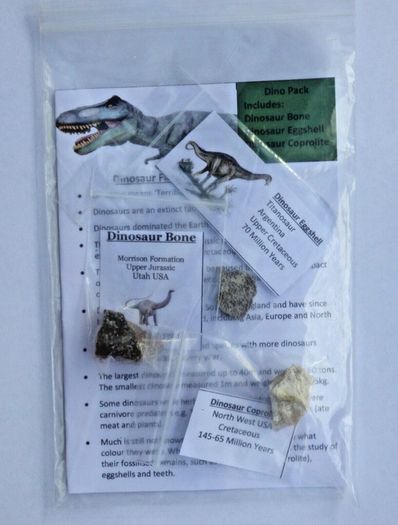 Dinosaur Fossils