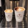 50 pack Eco-Friendly Compostable Coffee Cups Kit Image 6