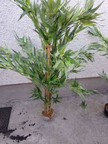 two artificial plants