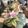 Rare find-blue tit finest porcelain made in Japan -kowa Image 3