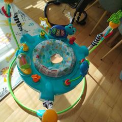 Baby Einstein Activity Jumper