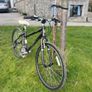 Pendleton Brooke Bike Image 4