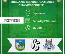 Senior Camogie Championship Limerick V Dublin Tickets