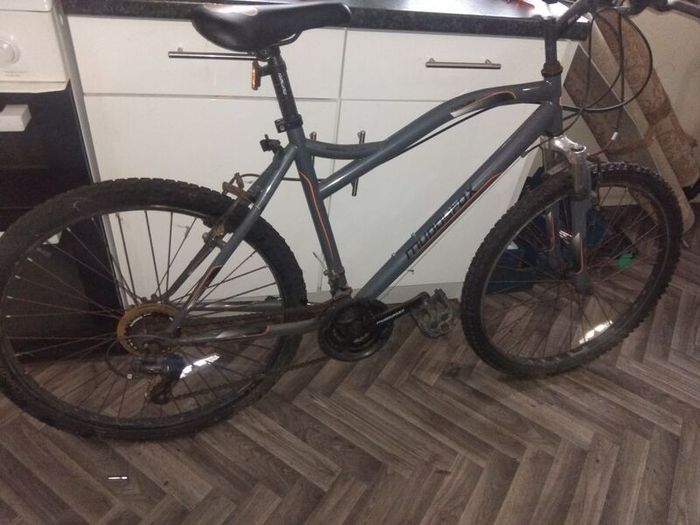 mountain bike for sale