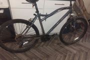 mountain bike for sale