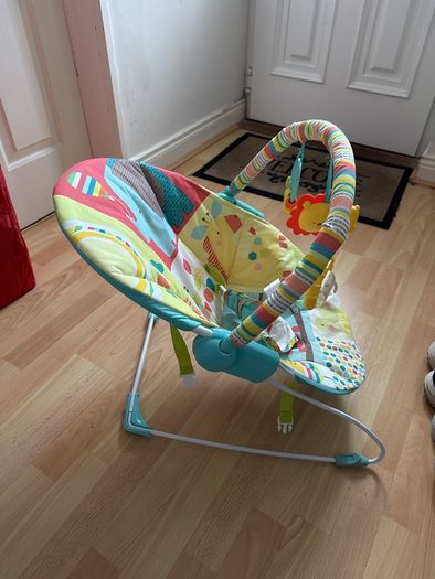 Baby Bouncer