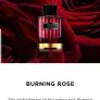 Carolina Herrera Burning Rose Edp 100ml Image 3
