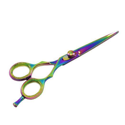 Professional Barber Hair Cutting Regular Scissors Shears Hairdressing 6"