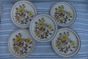 Shannon Iron Stone Lakewood Plates x 5