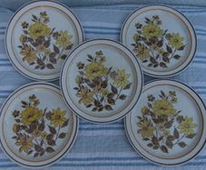 Shannon Iron Stone Lakewood Plates x 5