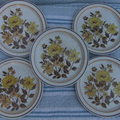 Shannon Iron Stone Lakewood Plates x 5