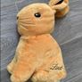 Bunnies Soft Toy Image 4