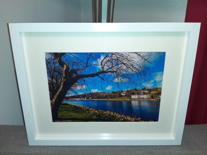 The Marina, Cork