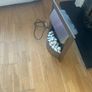 Inset Electric Fire Image 2