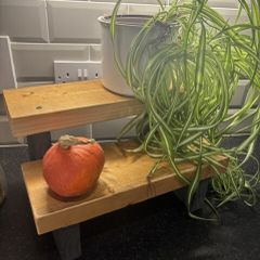 Hand made wooden plant display/steps
