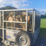 firewood Image 3