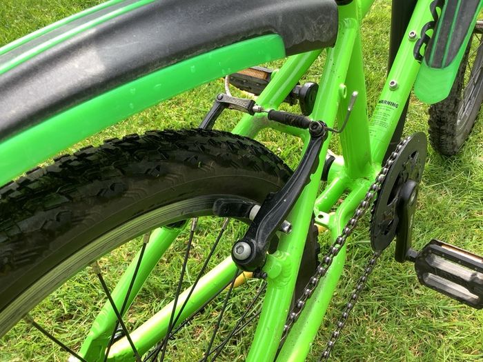 Frog 55 20" Children's Bike