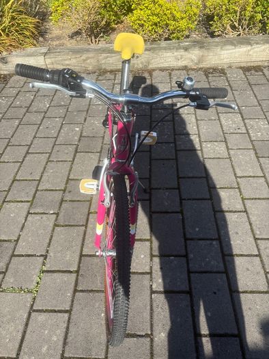 Raleigh Pop 24 Kids Bike