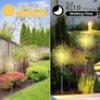4 Pack Solar Firework Garden Lights, 120 LED Firework Lights Outdoor Garden 8 Modes Starburst Light Waterproof for Lawn Pathway Patio Yard Party Backyard Decoration (Warm White) Image 3