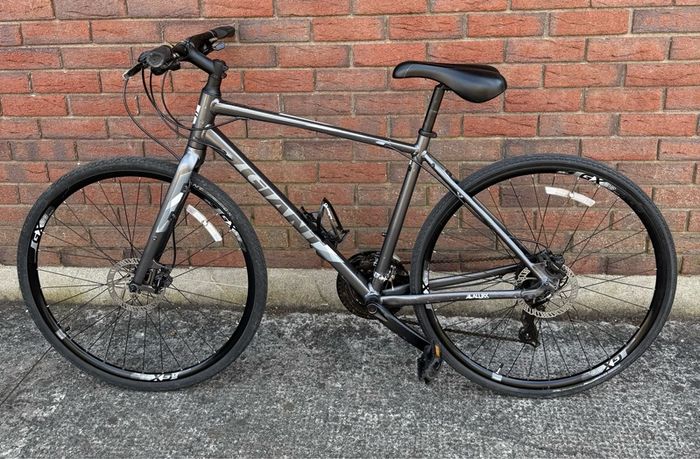 Giant Escape Hybrid Bike
