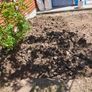 Top soil Image 3