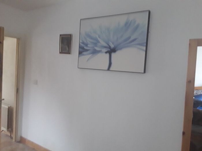 large picture
