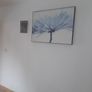 large picture Image 5