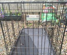 dog crate