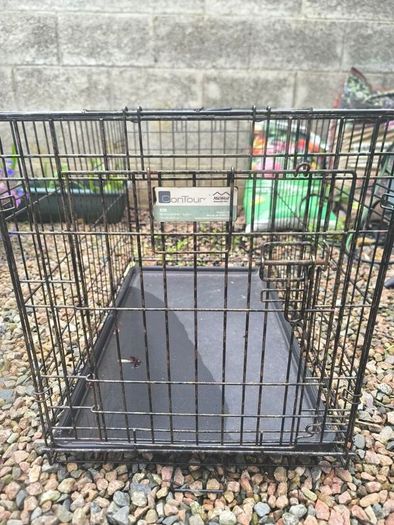dog crate