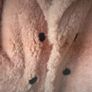 jacket Bnwt pink double breasted fur jacket size small Image 7