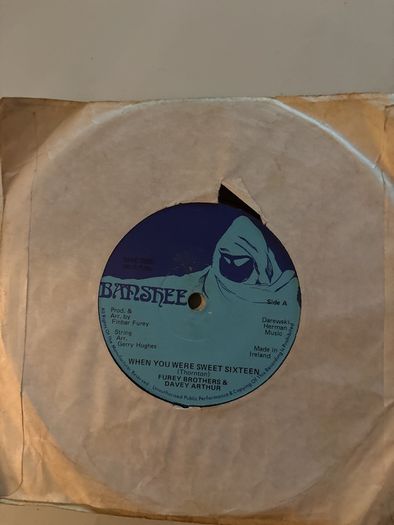 vinyl when you were sweet sixteen the fury's 7"