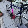 racing bike paganini Image 4