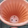 Pot Image 5
