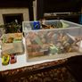 Big selection of character toys Image 7