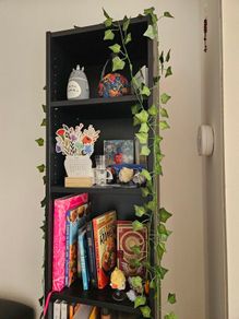 Bookshelf