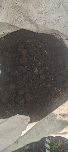 Top Soil