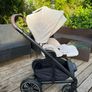 Buggy Image 3