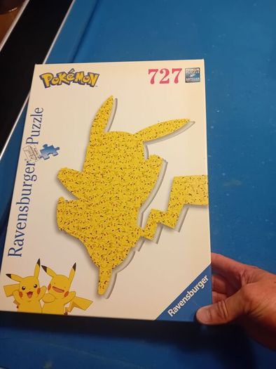 Pokemon jigsaw .