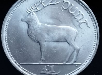 #2206 - Ireland - 1990 - Pound - KM.27 - UNC