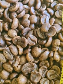 2 bags (5-6 kg) of organic green coffee beans decaf Arabica