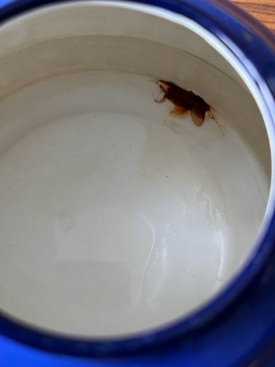enamel kettle